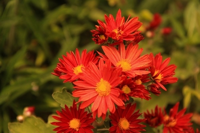 川口市江戸袋