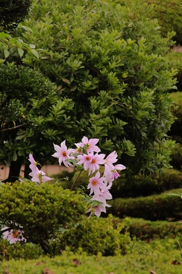 川口市江戸袋