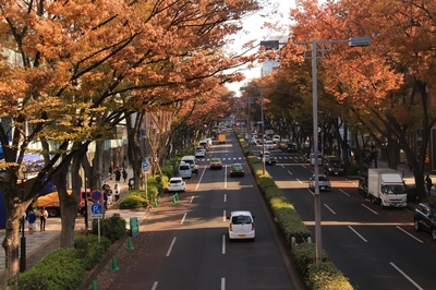 原宿表参道
