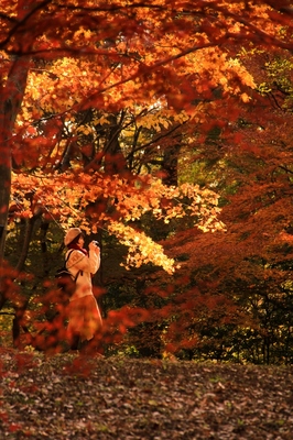 武蔵丘陵森林公園
