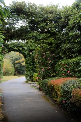 武蔵丘陵森林公園