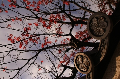川口市内　錫杖寺