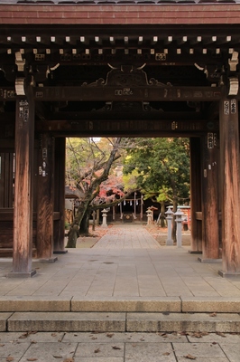 川口市内　川口神社