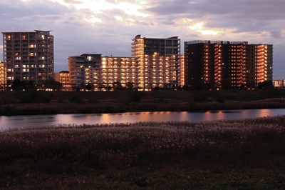荒川堤