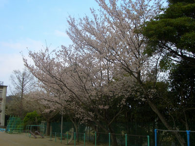 春