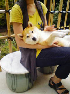 いなちゃん