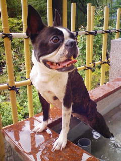 ナナちゃん