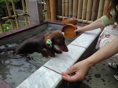 コナン君