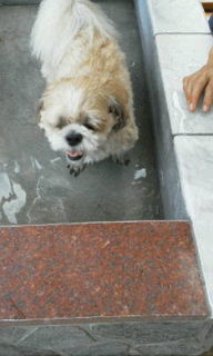 こうた君20110911