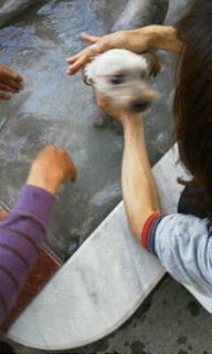 ビス君111029