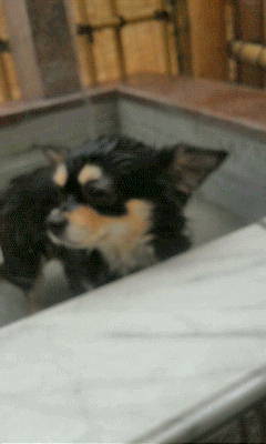 20120119チエルちゃん