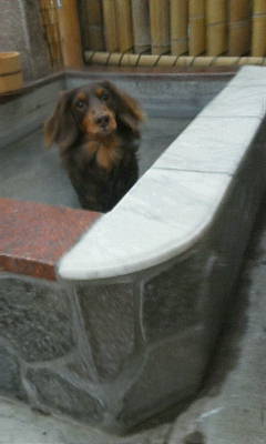 20120223ラニ君