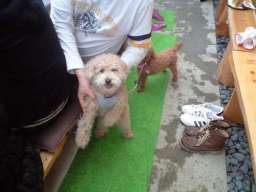 20120318ソラ君