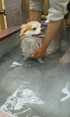 20120319チクワ君
