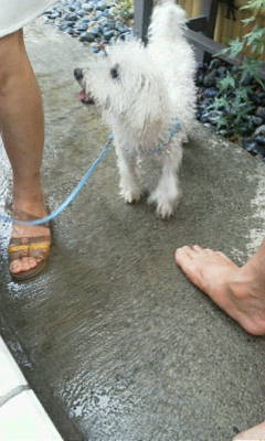 ももた君20120901