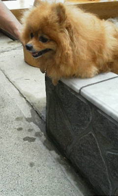 ちゃちゃ201200815
