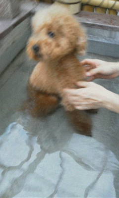 レオ君20120921