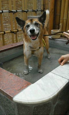 ルーク君20120930