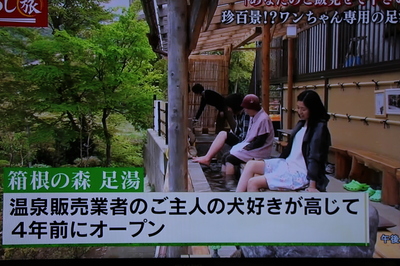 森下ちさとさん