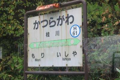 桂川（函館本線）
