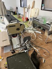 IMG_4524.jpeg
