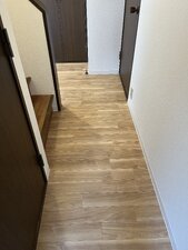 IMG_6588.jpeg
