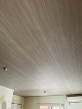 IMG_6715.jpeg