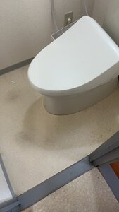 IMG_7175.jpeg