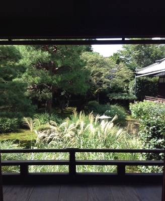 大聖寺さんにて