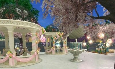 桜の木を植えたいようなので