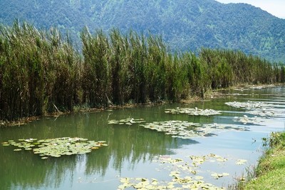 ブラタン湖岸