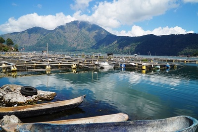 バトゥール湖　船と魚養殖施設