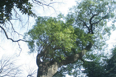 3414