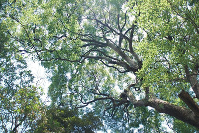 3535