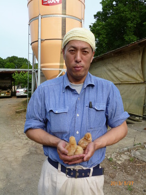 社長さんとひよこさん。