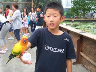 2009　少年全国