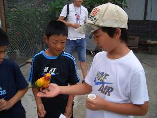 2009　少年全国