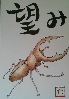 クワガタ
