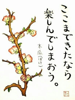 ５.木瓜(ぼけ)
