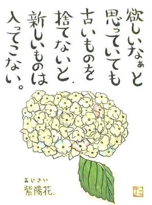9.紫陽花