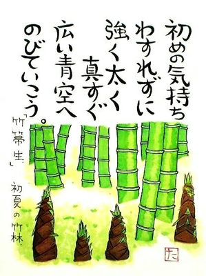 16.「竹箒生」初夏の竹林