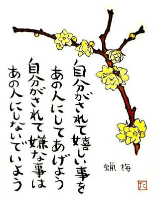 36.蝋梅