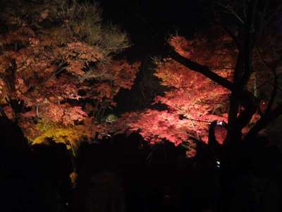 ☆清水寺　中☆