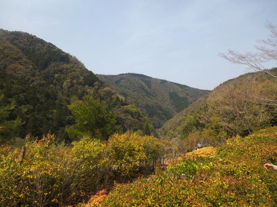 大河内山荘　頂上
