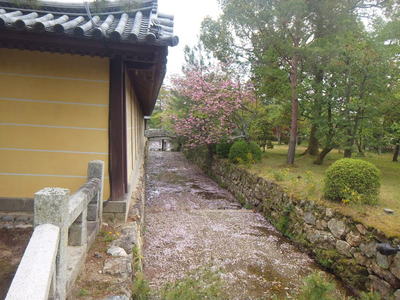 大覚寺　入り口川