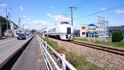 大藤祭り