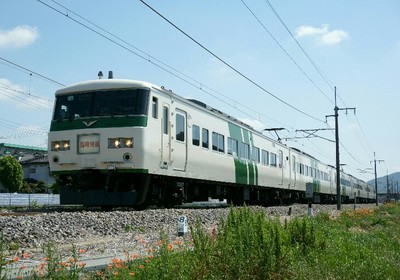足利藤まつり号  185系