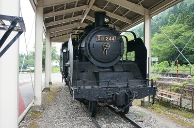 C11-244号