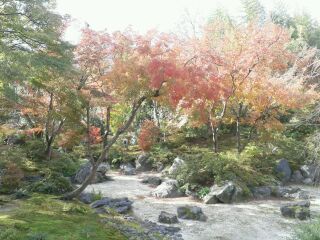 京都に紅葉を見に行きました。