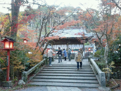 京都に紅葉を見に行きました。
